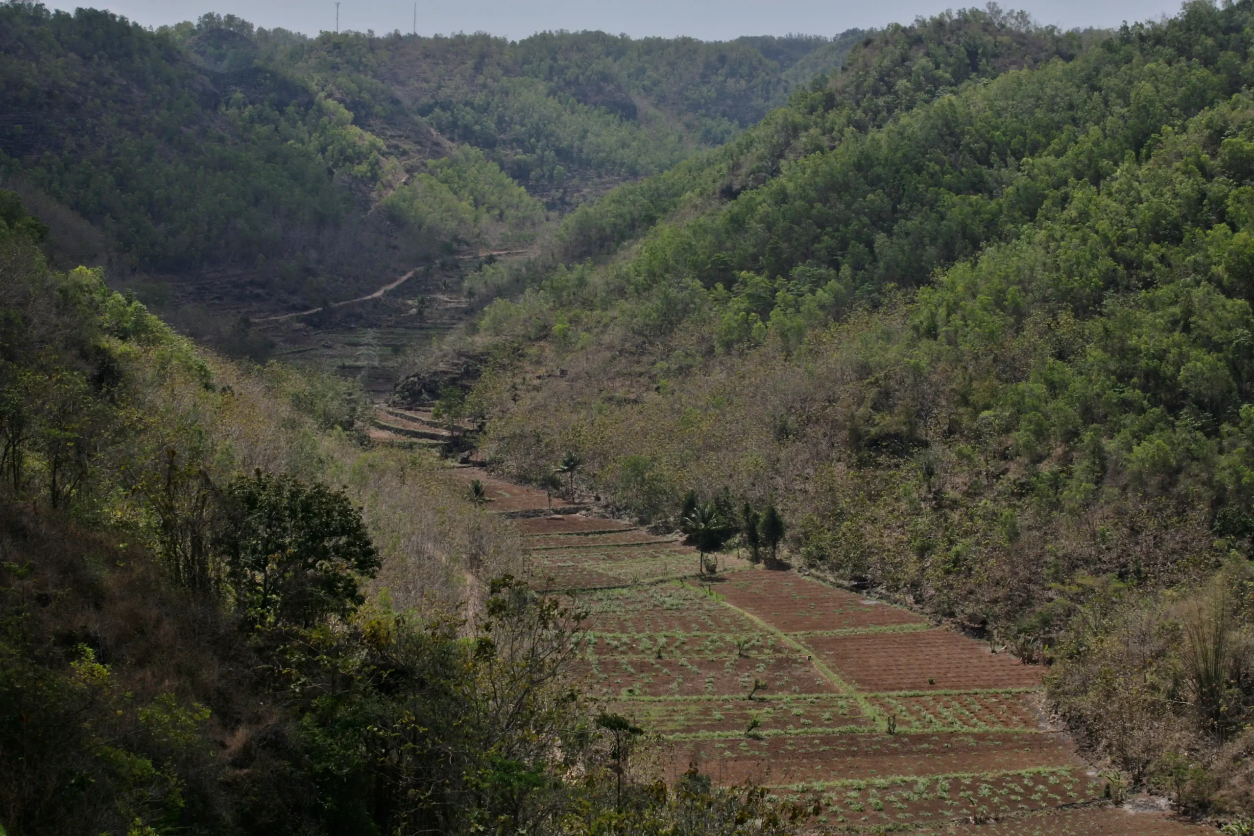 Lembah Sungai Purba